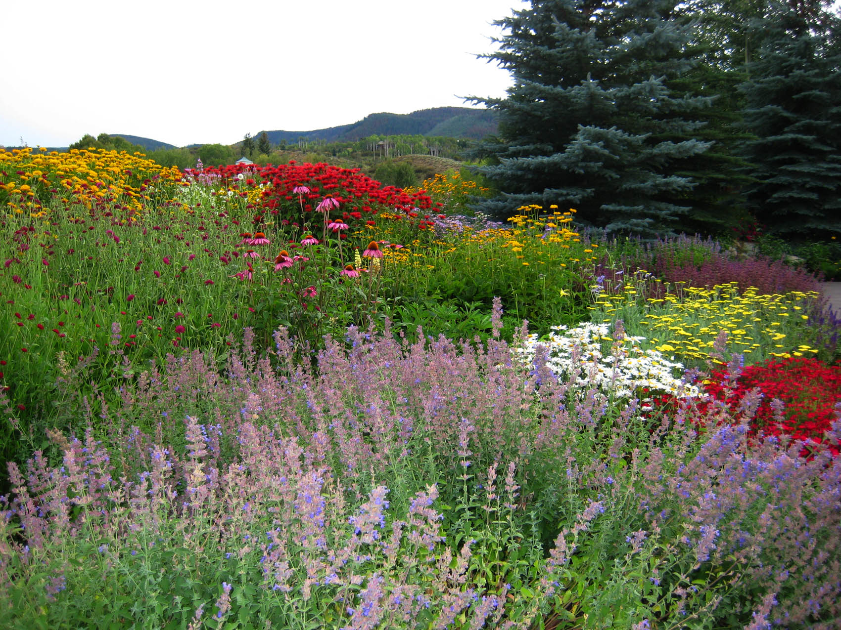 The image shows a vibrant and colorful flower garden with a variety of blooming plants and evergreen trees in the background under a cloudy sky.