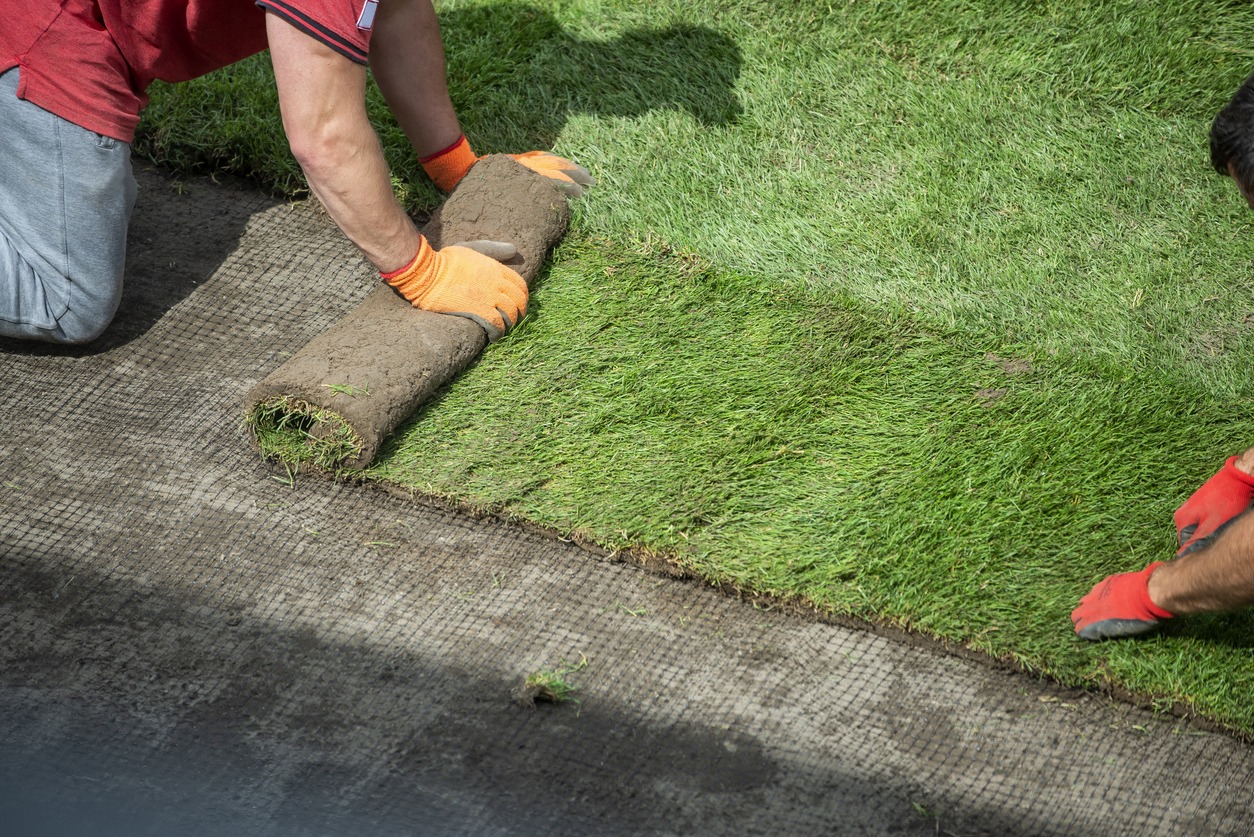 Two people are laying rolls of sod to create a new green lawn. They are wearing gloves and kneeling on the ground, working side by side.