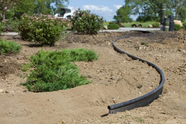 This image shows a landscaping scene with fresh plantings, a meandering plastic edging defining a path or bed, and a background with trees and vehicles.