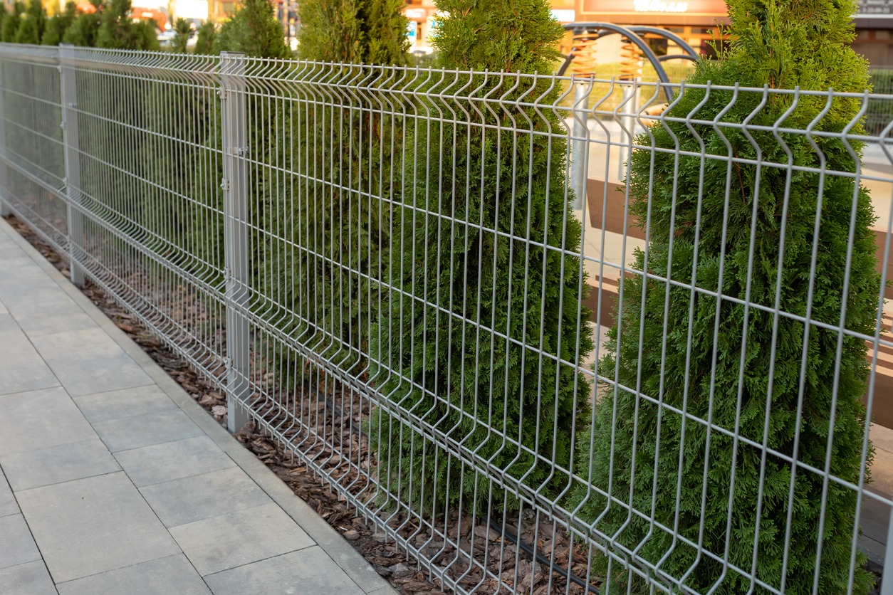 The image shows a metal grid fence with dense shrubbery behind it, along a paved walkway, suggesting an urban garden or landscaped area.