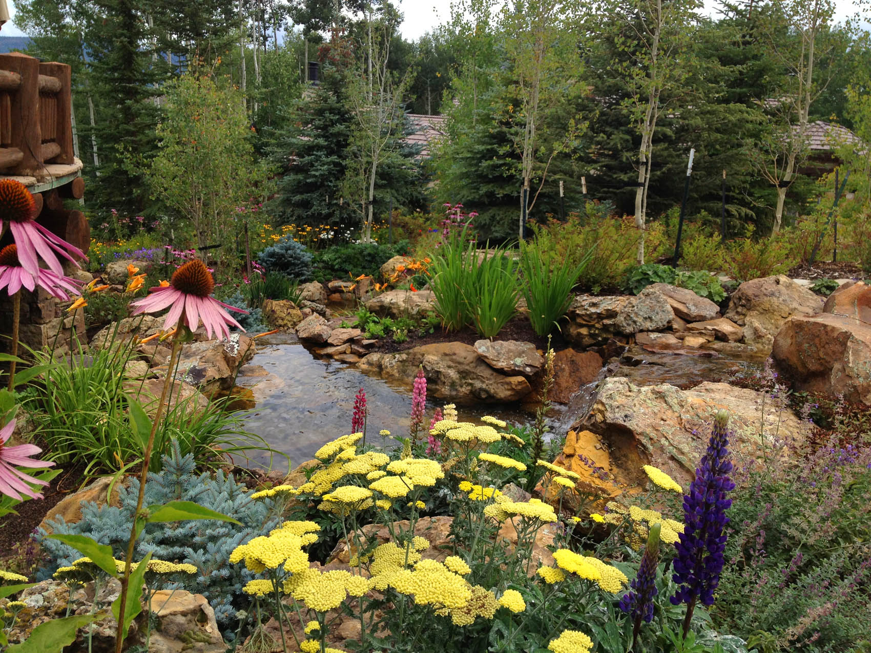 A tranquil garden featuring a small stream, vibrant yellow, purple, and pink flowers, lush greenery, and assorted rocks with trees in the background.