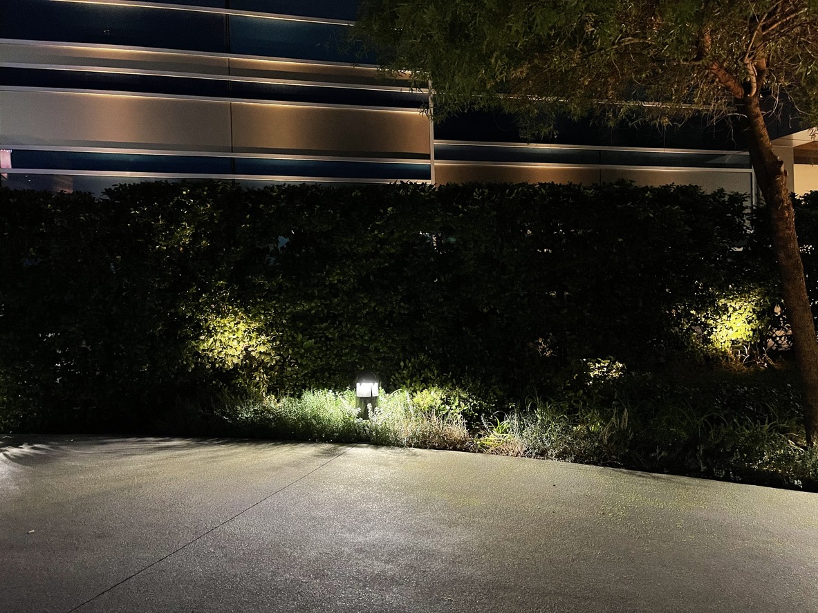 The image shows a night scene with a lit pathway, a dense hedge, trees, and a part of a modern building façade illuminated from above.