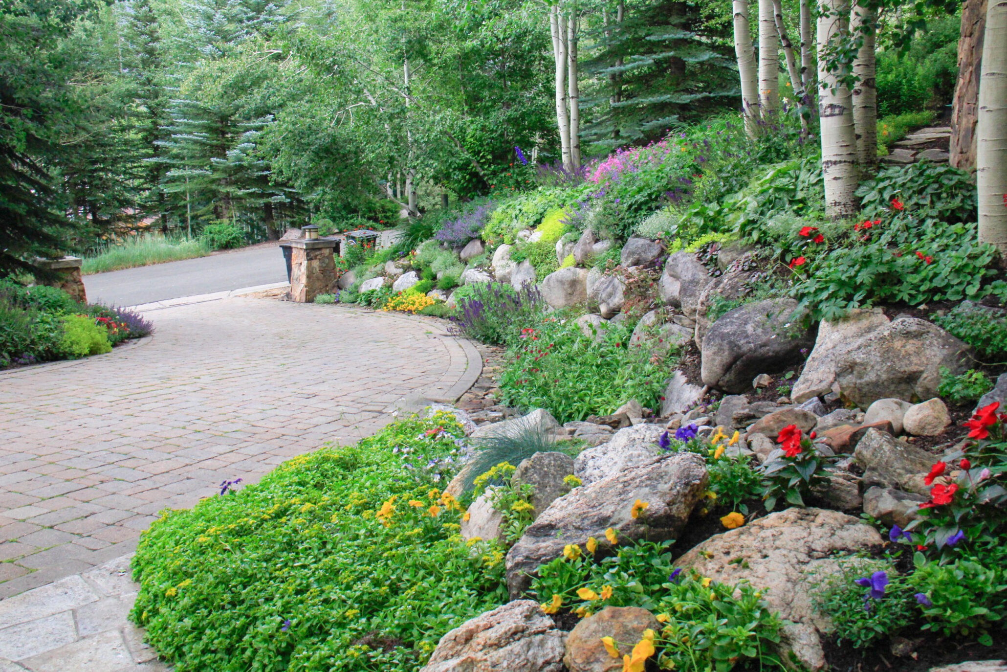 residential mountain landscaped driveway