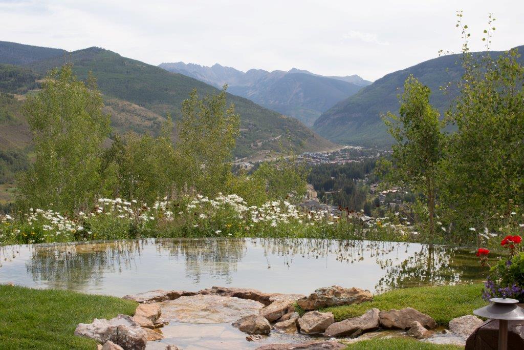 A serene reflective pond surrounded by flowers and greenery, overlooking a valley with a town, set against a backdrop of mountainous terrain.