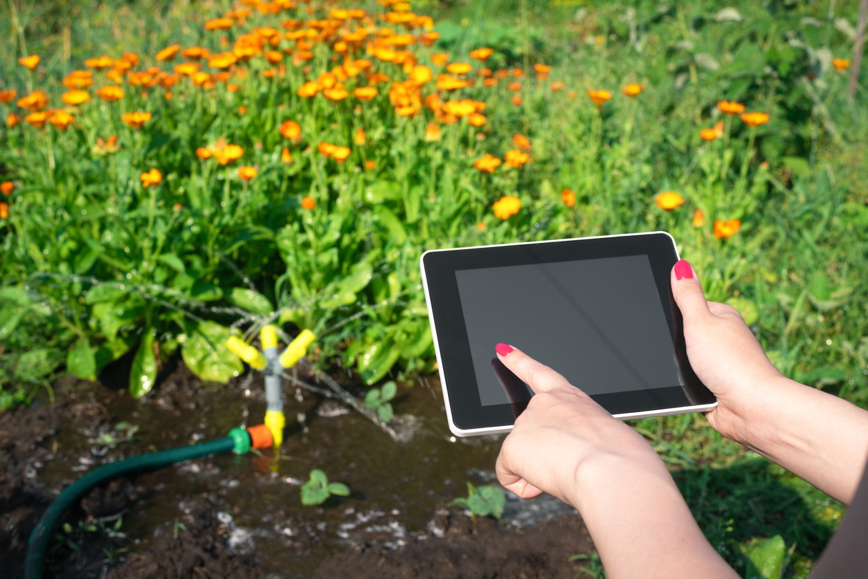 A person's hands holding a tablet with a black screen, with a blurry background of a garden with orange flowers and a water sprinkler.