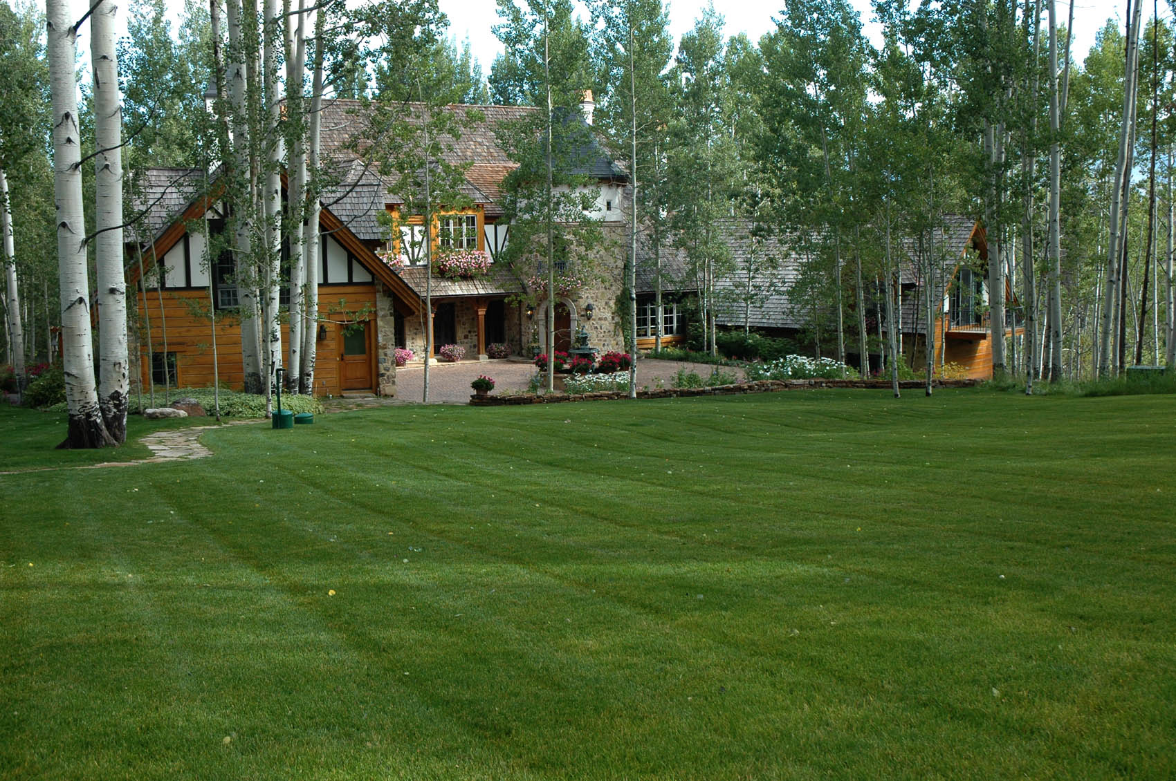 A large, manicured lawn leads to a charming house with timber and stone features, nestled among tall, slender birch trees in a serene setting.