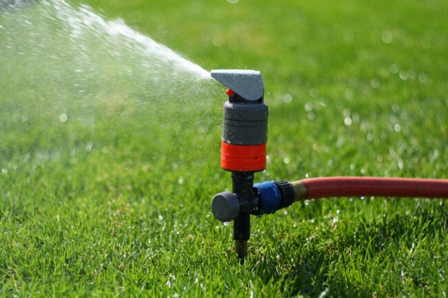 A red and black garden sprinkler attached to a hose is watering vibrant green grass with a fine mist highlighted by sunlight.