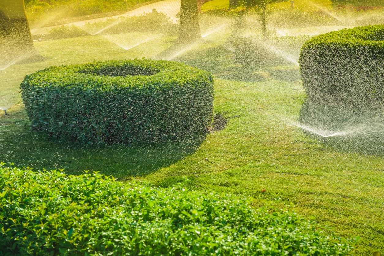 Sprinklers water a lush garden with neatly trimmed hedges under bright sunlight, creating a sparkling mist against the greenery.