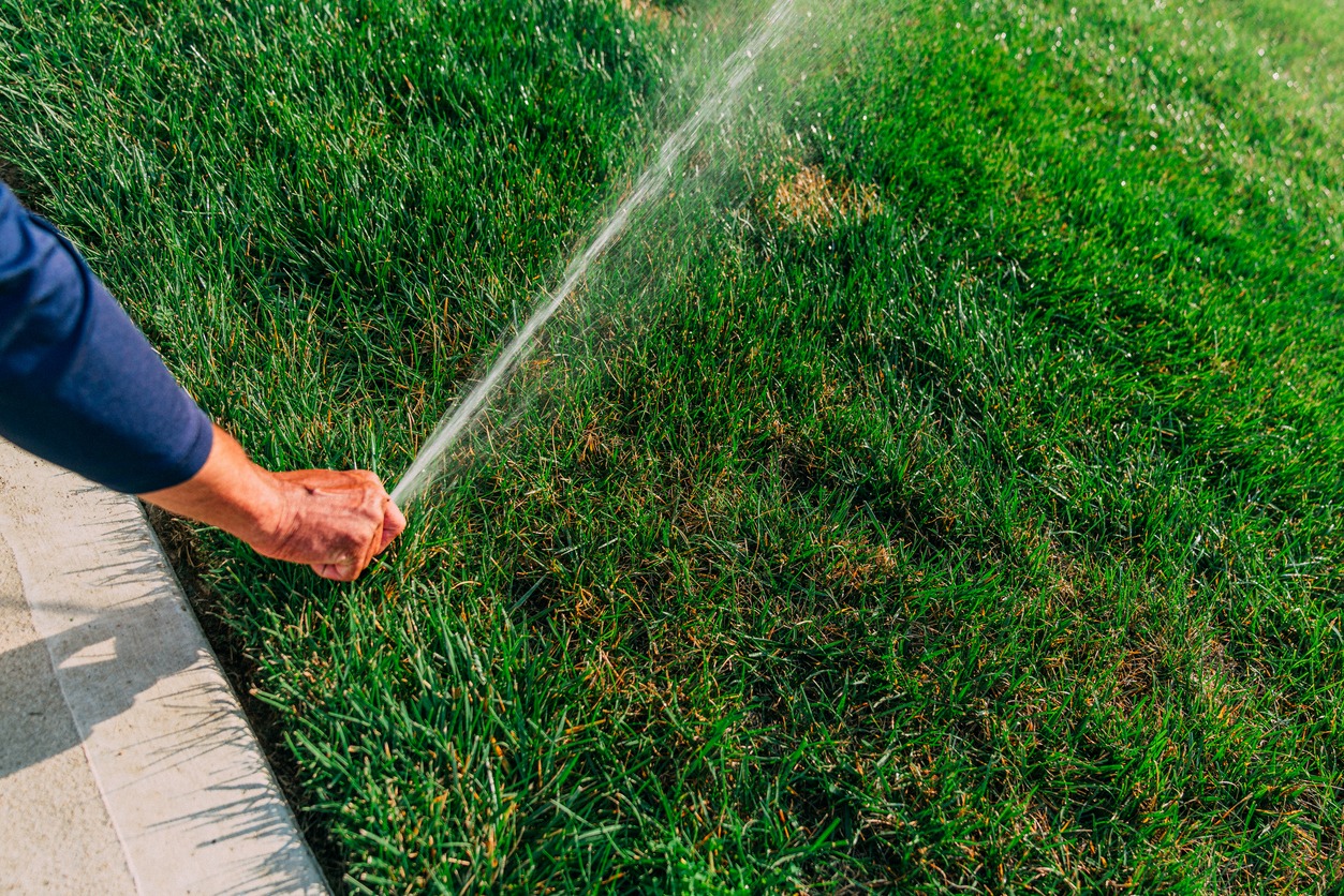 A person's arm is visible holding a garden hose, watering a vibrant green lawn edged with a concrete curb, under bright daylight.