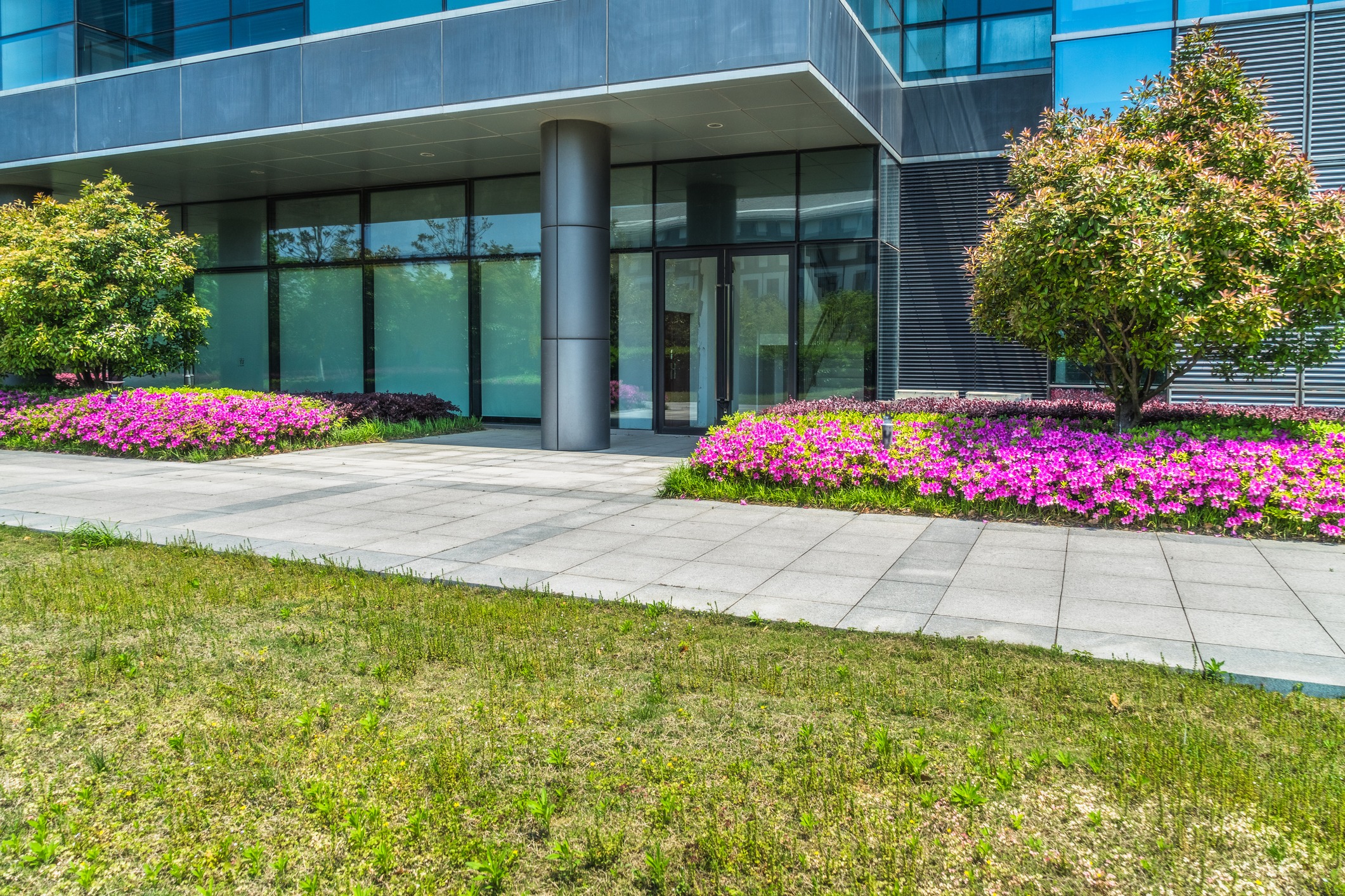 Modern building with glass facade, landscaped with pink flowers and greenery, under a clear sky. Paved walkway leading to a glass entrance.