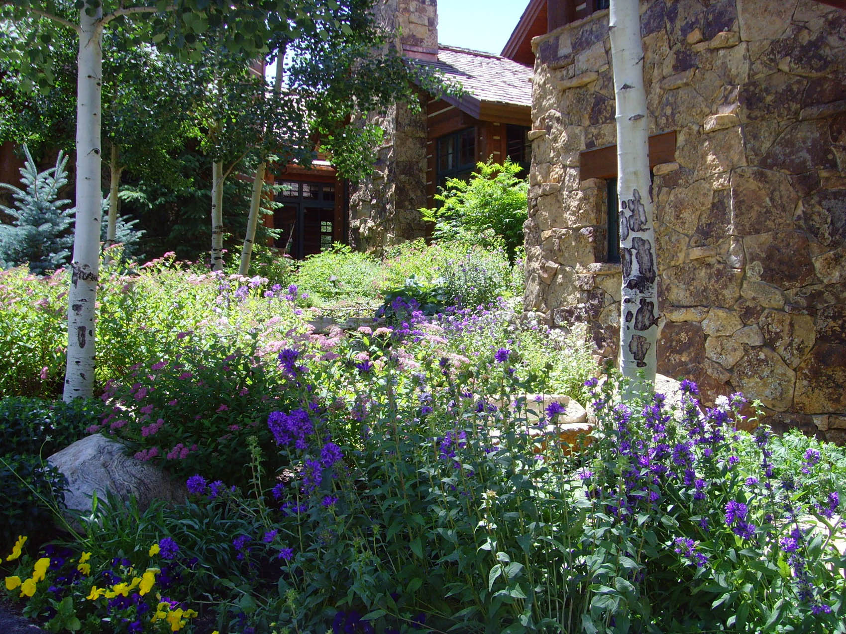 A rustic stone building with large windows is nestled among birch trees and a colorful garden of purple, pink, and yellow flowers in sunny daylight.