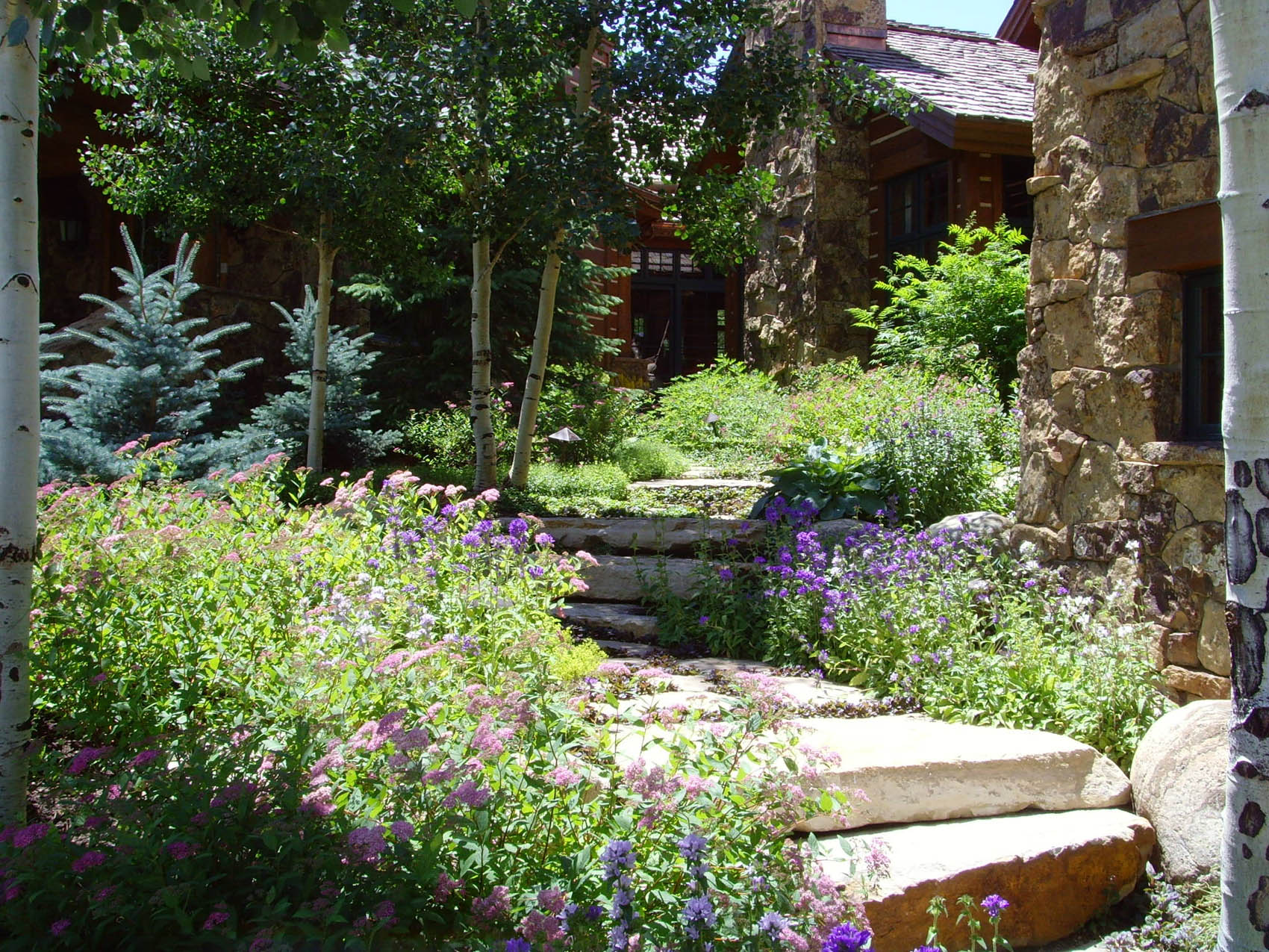 A lush garden with stone steps leading to a house. Flowers bloom vibrantly among green shrubs under a clear, sunny sky. Trees and foliage frame the setting.