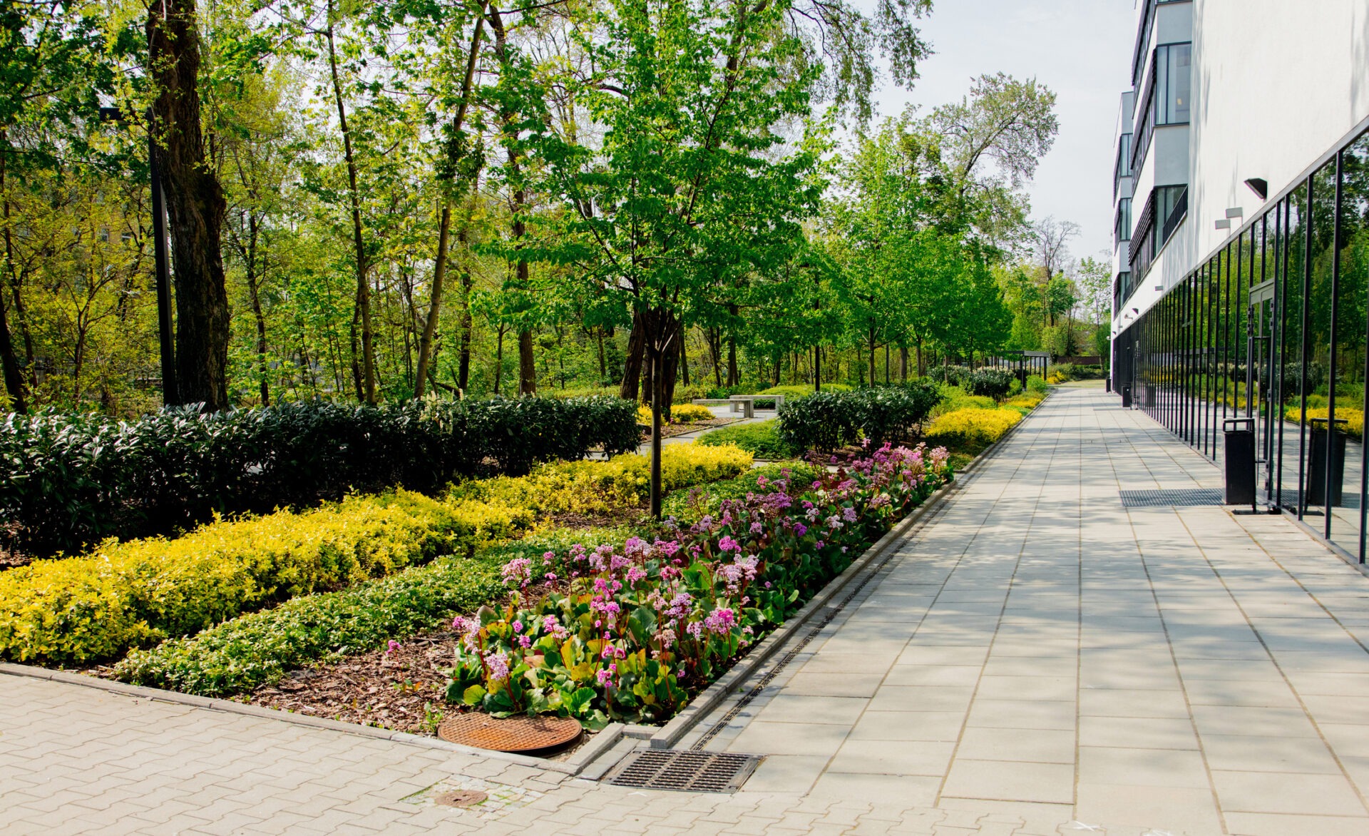 This image shows a paved walkway beside a modern building, flanked by colorful flower beds and lush green trees under a clear blue sky.