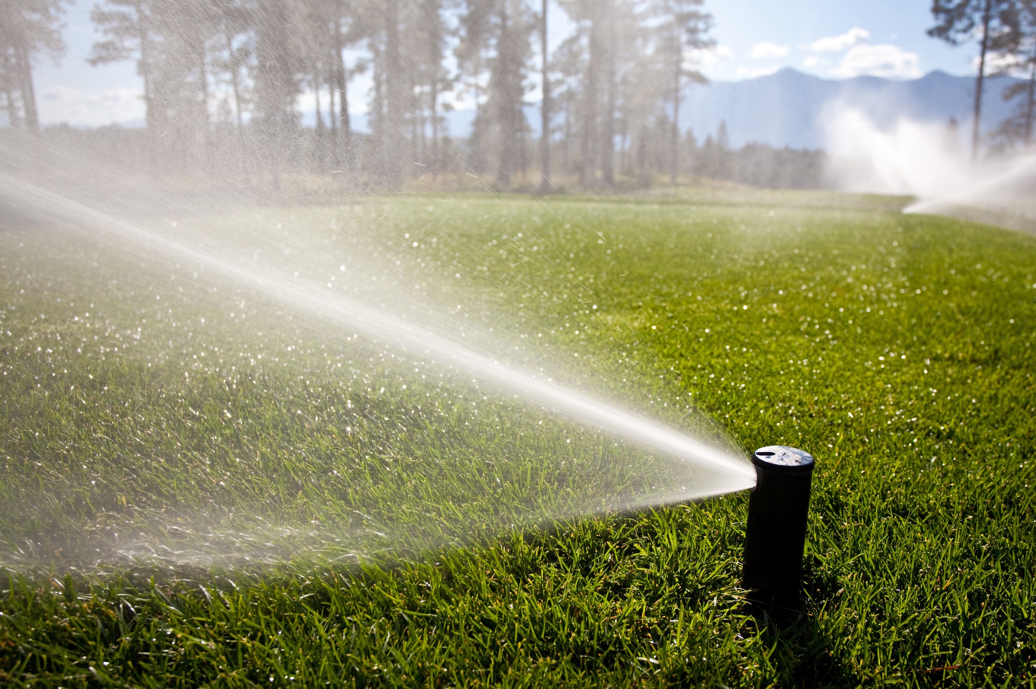 Sprinklers are actively watering a lush green lawn with fine mist against a backdrop of pine trees and distant mountains under a clear sky.