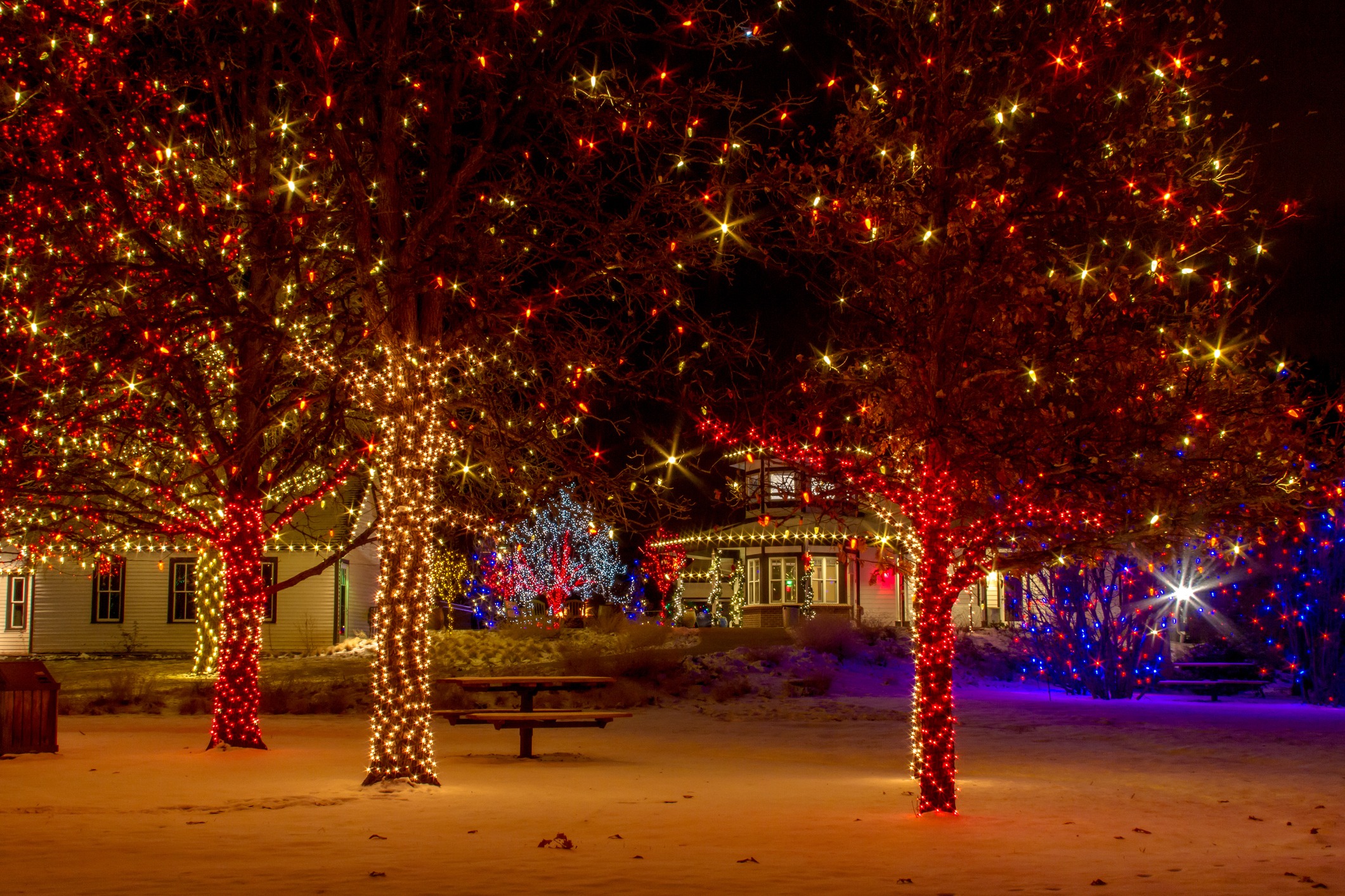 Trees adorned with red, white, and blue Christmas lights stand before a house with festive decorations, casting a warm glow on the snowy ground.