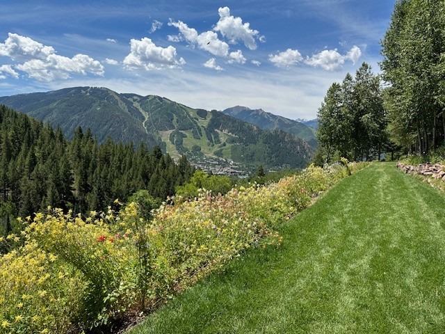 The image shows a lush, manicured lawn with a vibrant flowerbed alongside. In the distance, there are mountain slopes with green trees and a clear sky above.