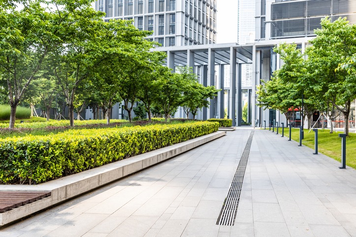 An office building's landscape