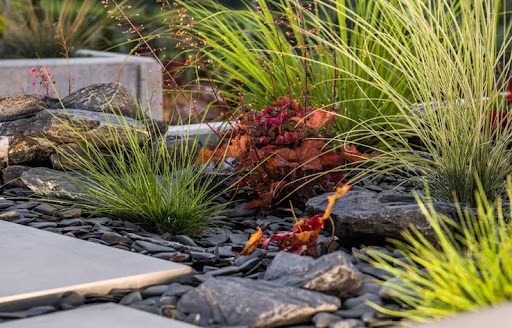 Modern Elegant Rockery Garden Design with Colorful Plants and the Pathway.